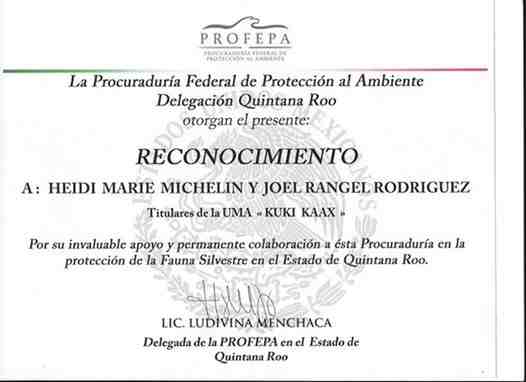 spider monkey sanctuary profepa certificate of recognition